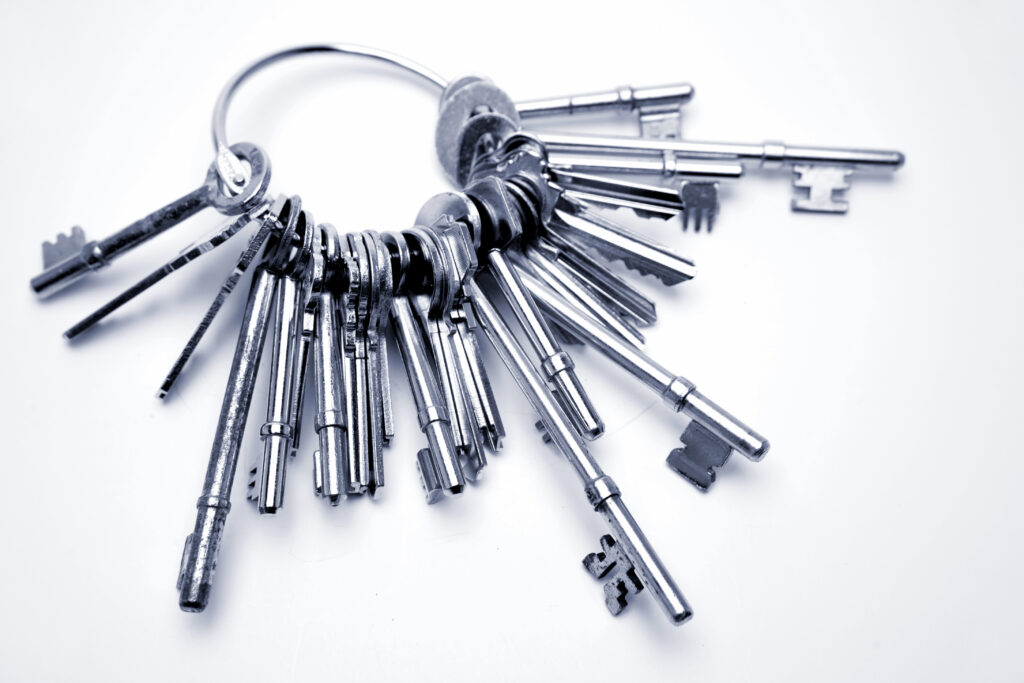 rapid advancing technology - a key ring with many keys